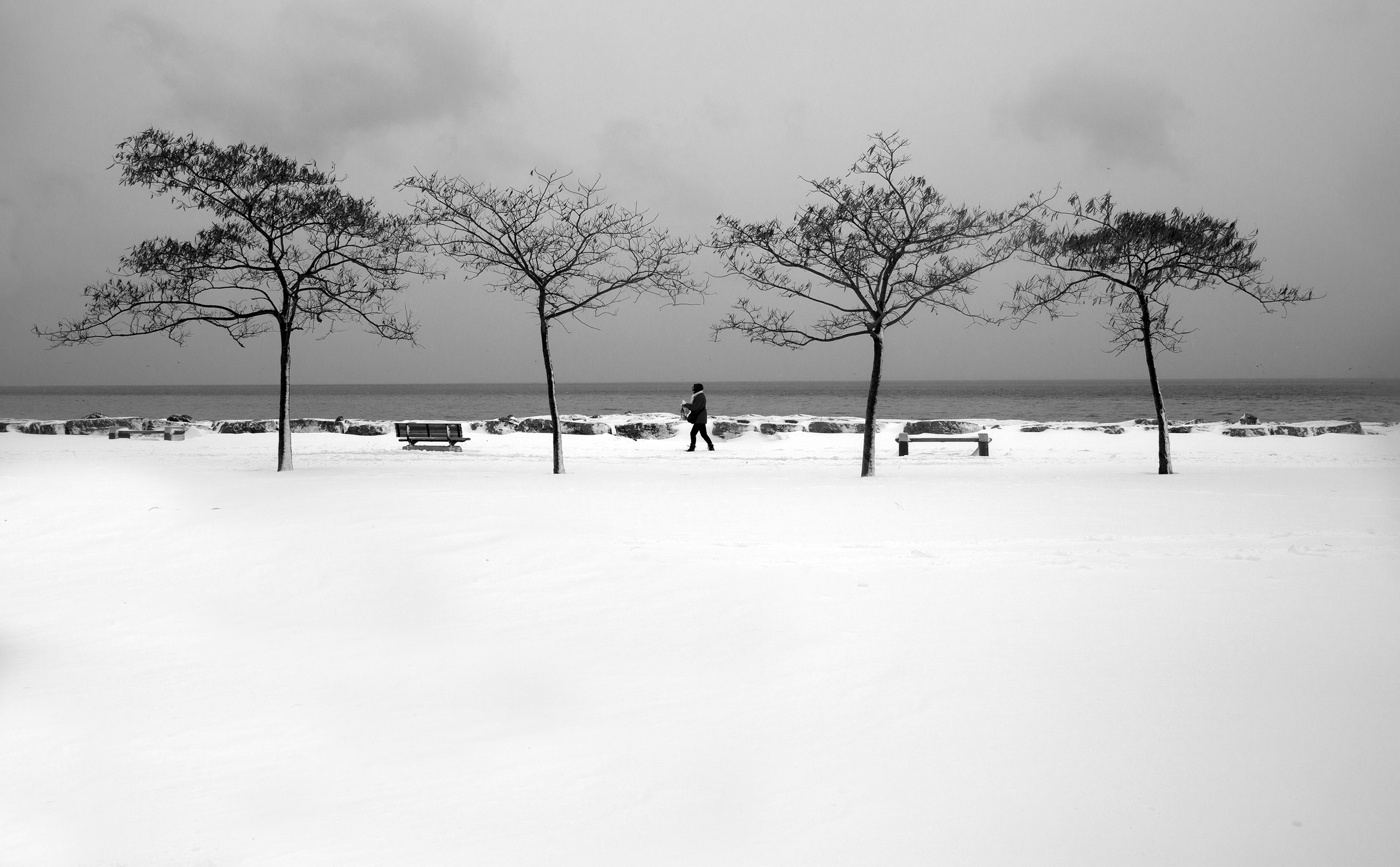 Four Trees